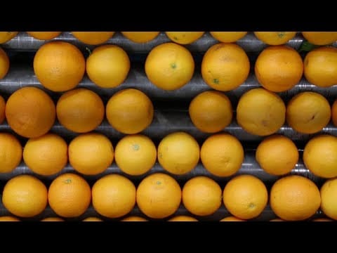 LiDestri 精選客戶